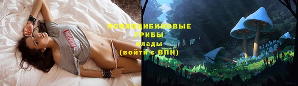 герыч Верхний Тагил