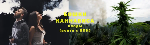 прущие крисы Верея