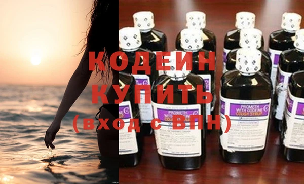молекула духа Семилуки