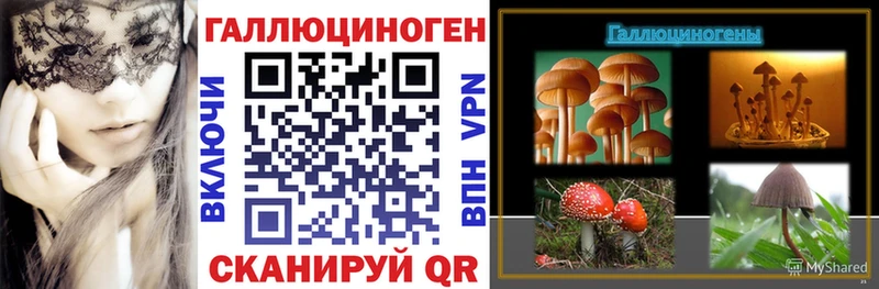 Галлюциногенные грибы GOLDEN TEACHER  гидра как войти  Плёс  даркнет сайт 